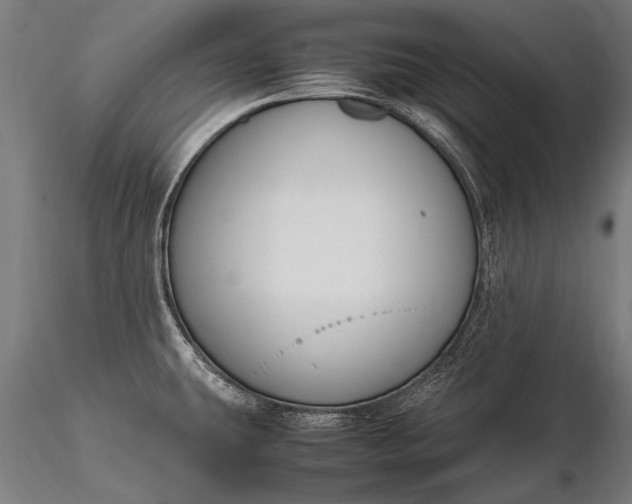 X0000116291431200912141301