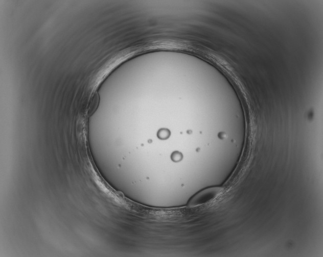 X0000116291433200912141301