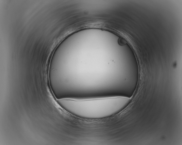 X0000116291434200912141301