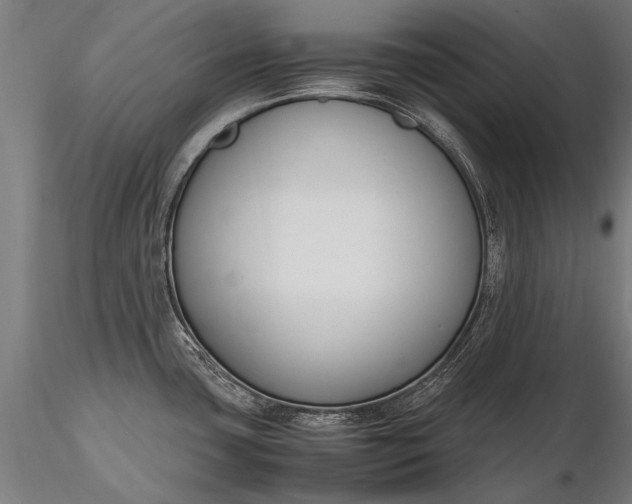 X0000116291435200912141301