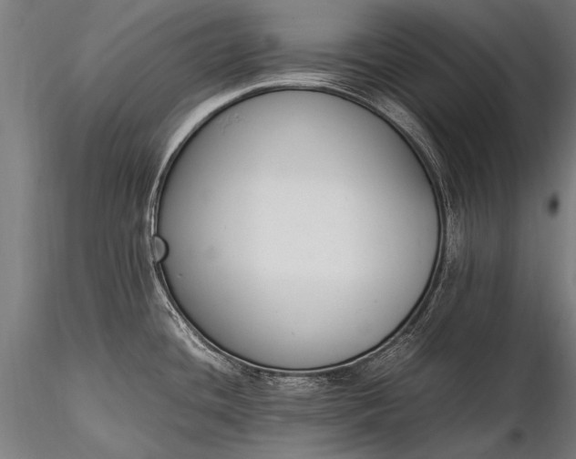 X0000116291436200912141301