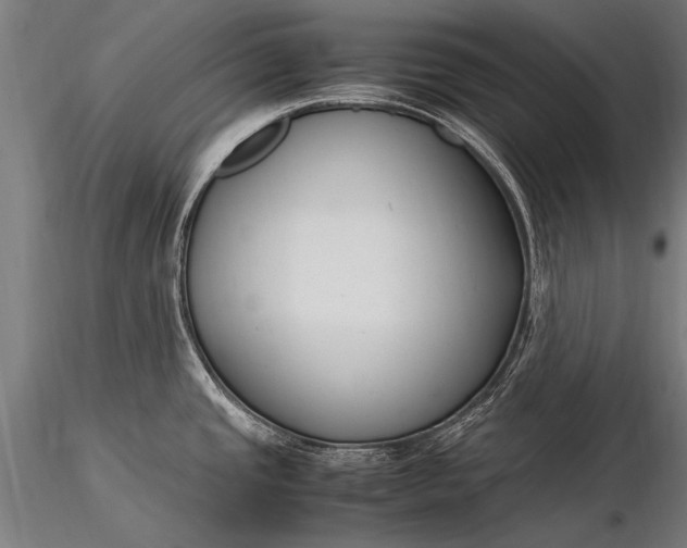 X0000116291437200912141301