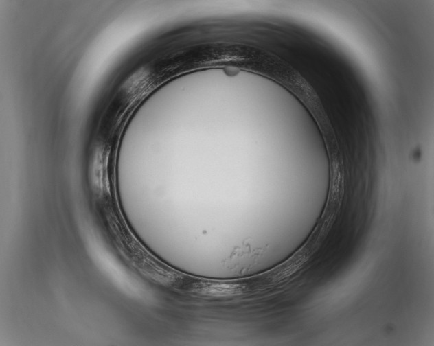 X0000116291439200912141301