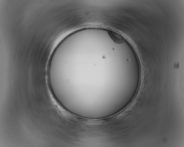 X0000116291440200912141301