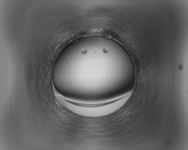 X0000116291441200912141300