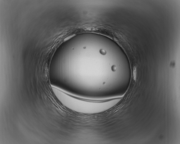 X0000116291444200912141300