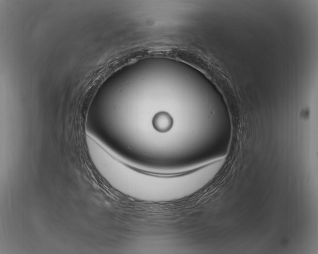 X0000116291445200912141300