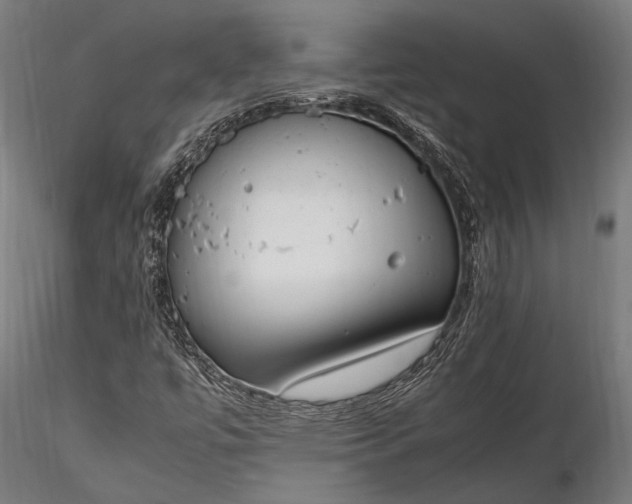 X0000116291447200912141300