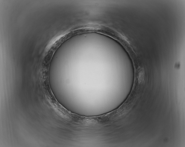 X0000116291448200912141300