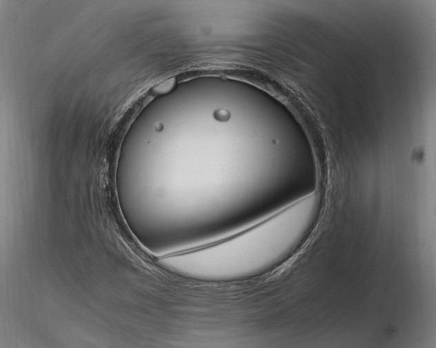 X0000116291449200912141300