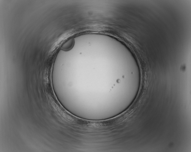 X0000116291451200912141300