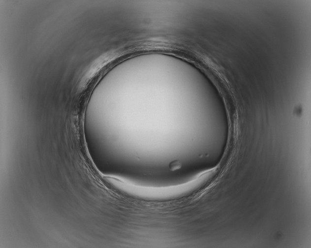 X0000116291453200912141300