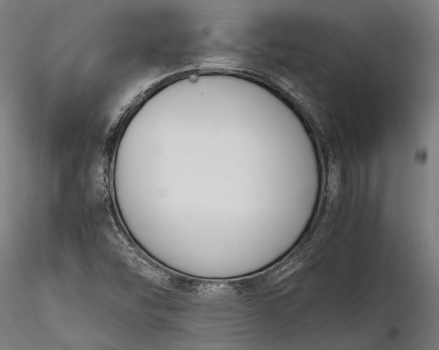 X0000116291454200912141300