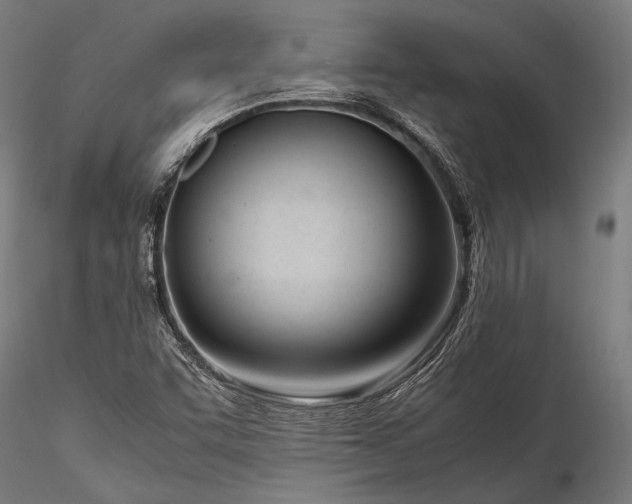 X0000116291455200912141300