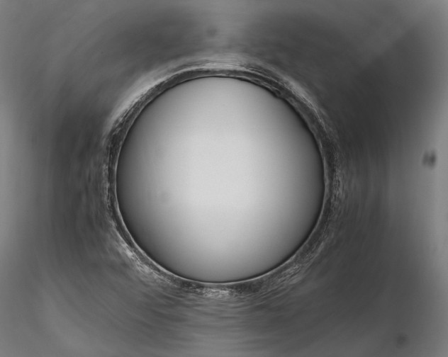 X0000116291456200912141300