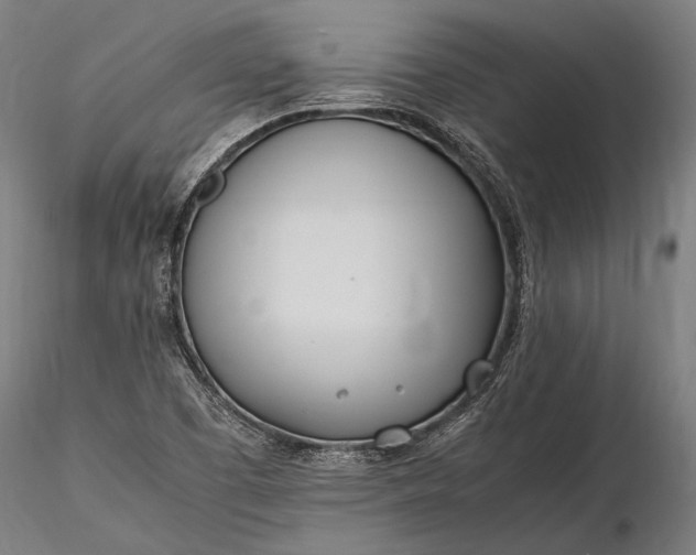 X0000116291457200912141300