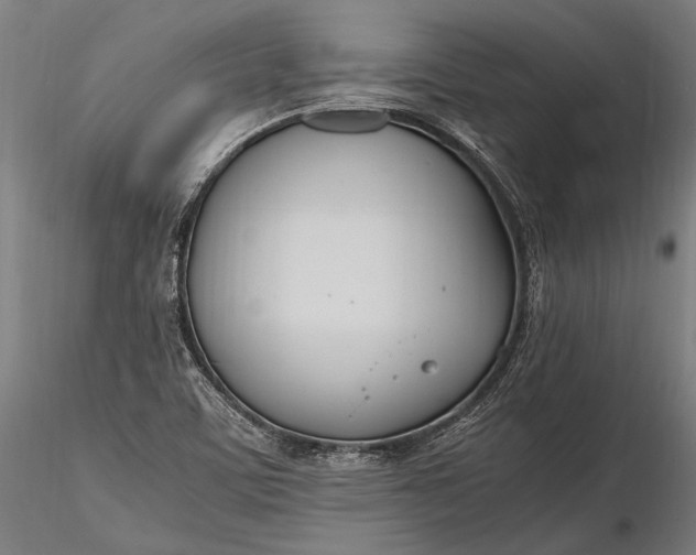 X0000116291459200912141300