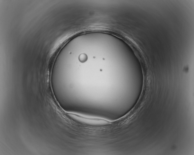 X0000116291461200912141300