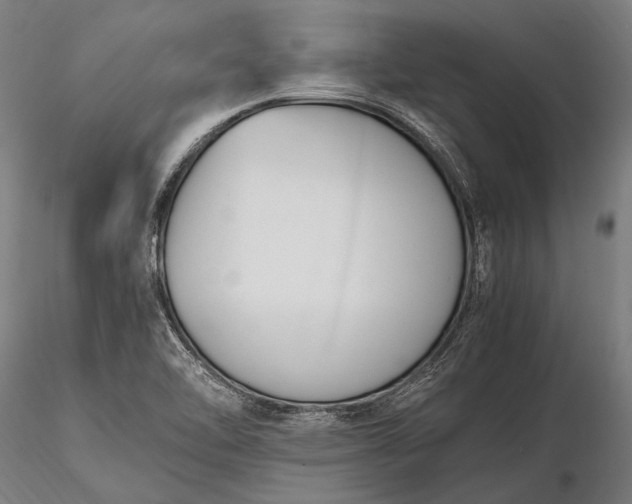 X0000116291462200912141300