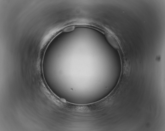 X0000116291464200912141300