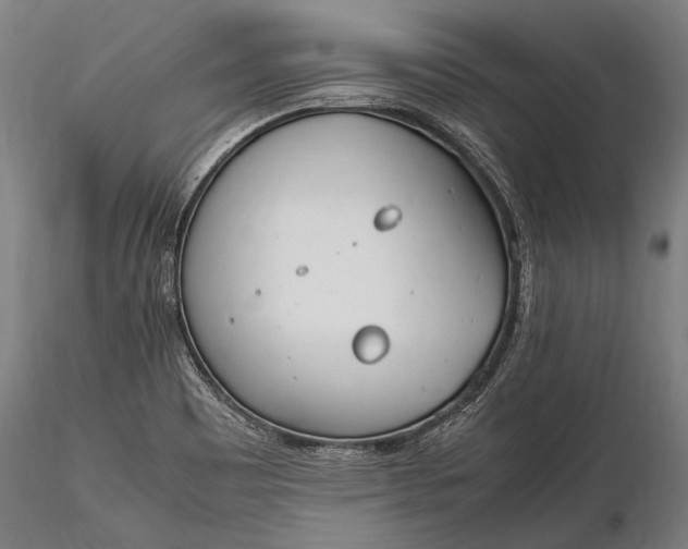 X0000116291465200912141300