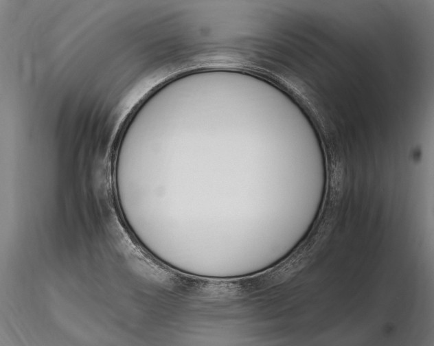 X0000116291466200912141300