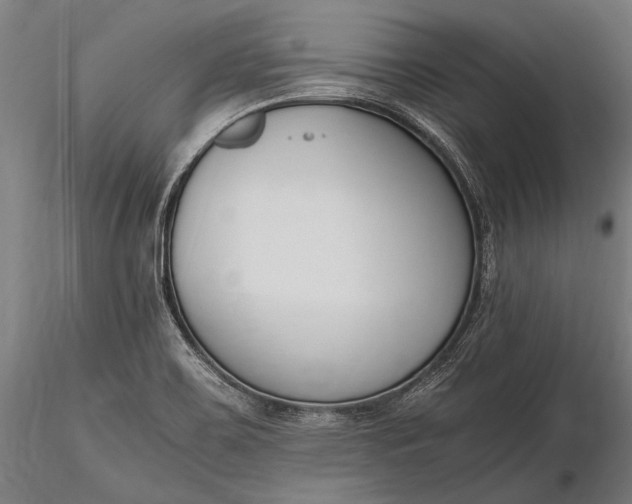 X0000116291467200912141300