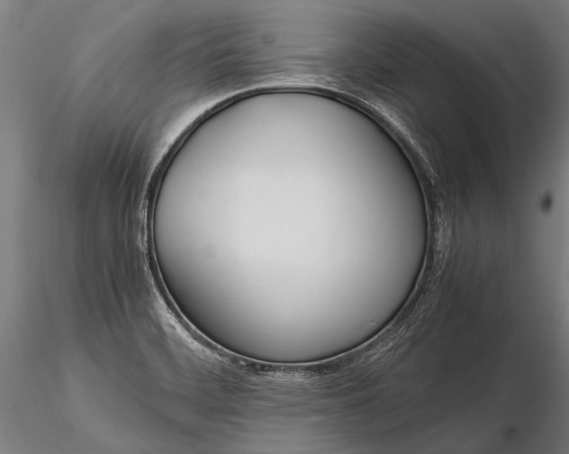 X0000116291468200912141300