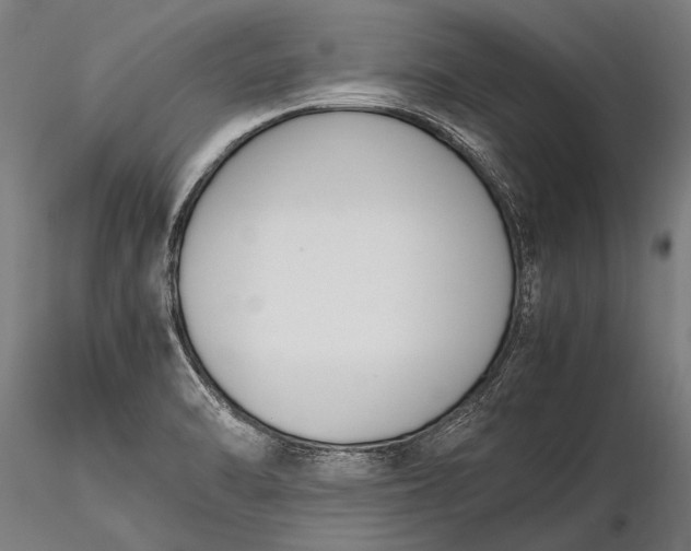 X0000116291470200912141300