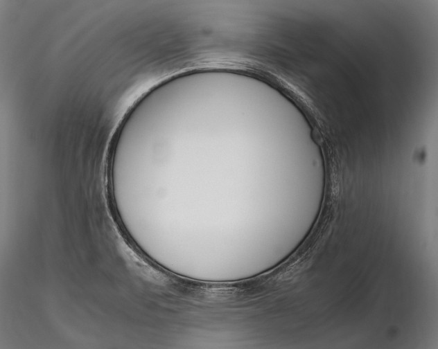 X0000116291471200912141300