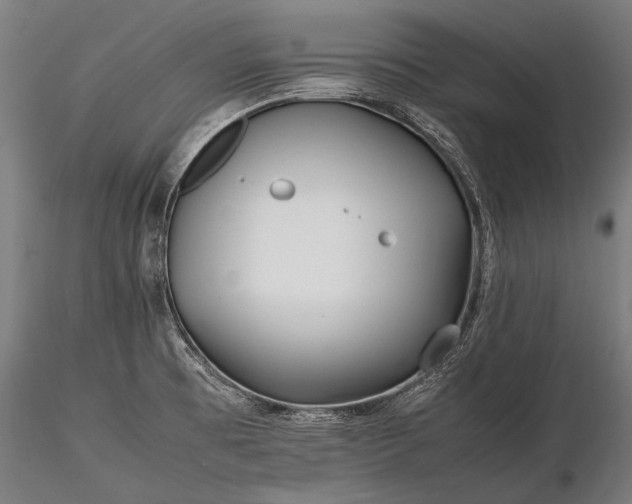 X0000116291473200912141300