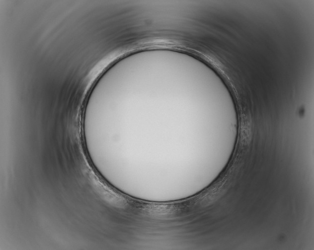 X0000116291474200912141300