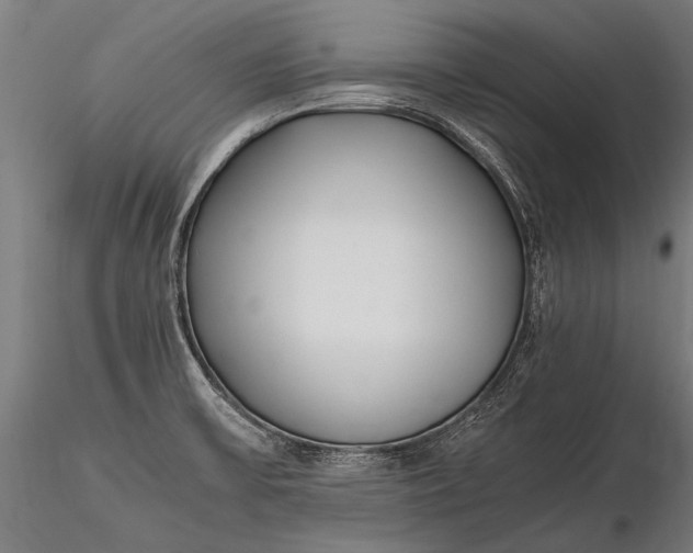 X0000116291475200912141300