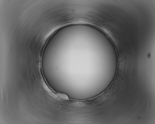 X0000116291476200912141300