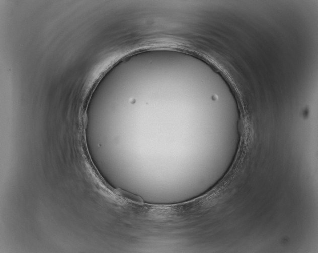 X0000116291477200912141300