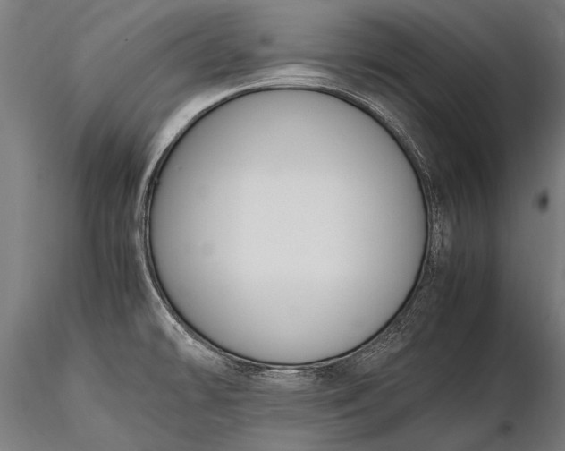 X0000116291478200912141300