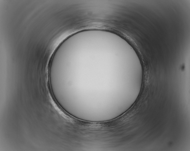 X0000116291479200912141300