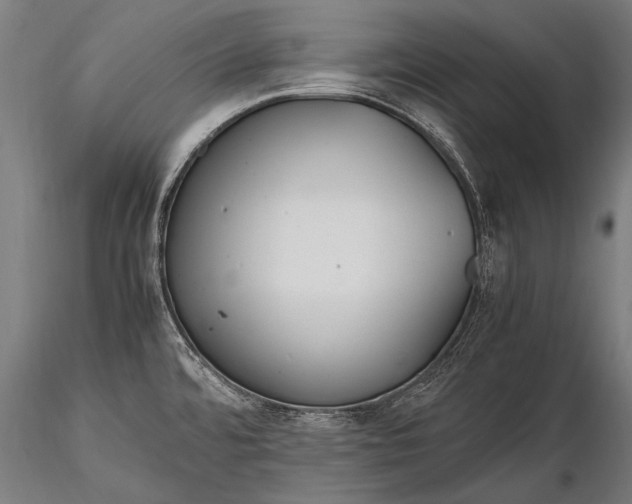 X0000116291480200912141300