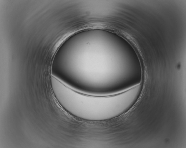 X0000116291481200912141300