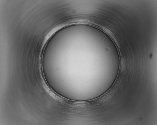 X0000116291482200912141300