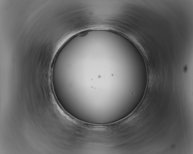 X0000116291484200912141300