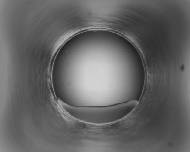 X0000116291485200912141300