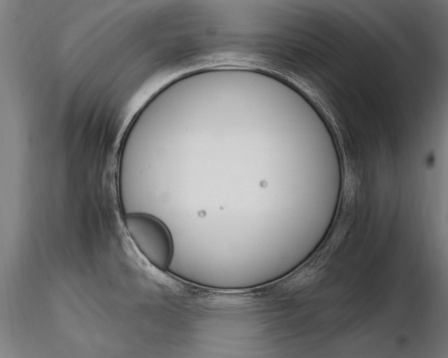 X0000116291486200912141300