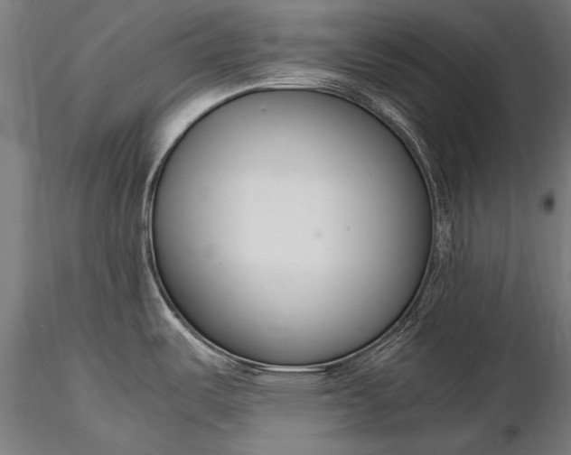 X0000116291487200912141300