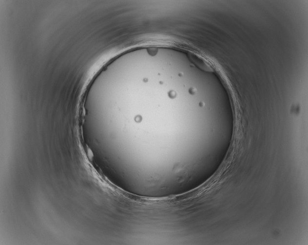 X0000116291488200912141300