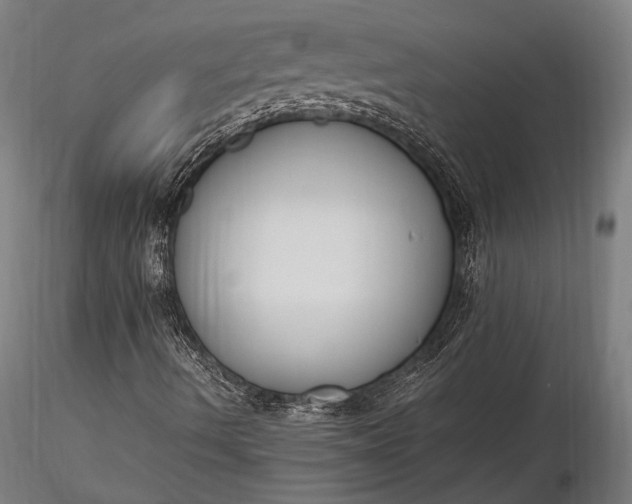 X0000116291490200912141259