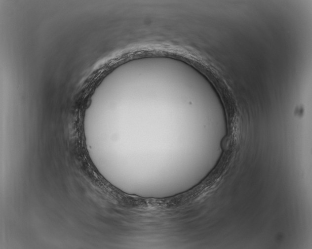 X0000116291494200912141259