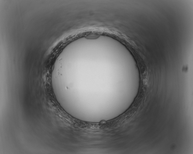 X0000116291495200912141259