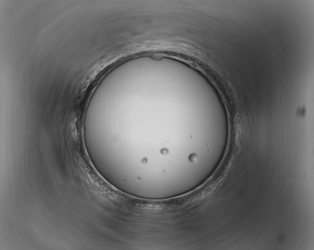 X0000116291497200912141259