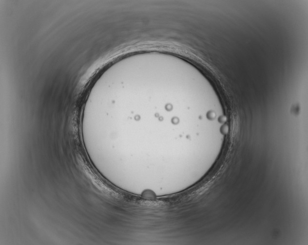 X0000116291498200912141259